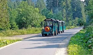Aktualne ceny bryczek i transport w Dolinie Chochołowskiej: Czy warto?