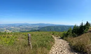 Kamienista ścieżka w Górach Świętokrzyskich. Idealne miejsce na spokojne wędrówki, gdy szukasz tras najlepszych dla seniorów.
