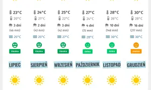 Najlepszy termin na wakacje w Miami. Unikaj sezonowych pułapek!