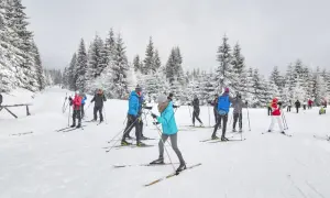 Szukasz najlepszych tras narciarstwa biegowego w Jakuszycach dla dzieci? Na zdjęciu grupa narciarzy w zimowym krajobrazie.