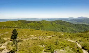 Widok z Baraniej Góry na Beskid Śląski. Zielone wzgórza i lasy, szlak turystyczny, dwie osoby wędrujące.