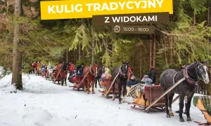 Wszystko o kuligach w Dolinie Kościeliskiej: atrakcje, ceny i rezerwacja 2024
