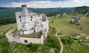 Ruiny zamku w Mirowie, majestatycznie wznoszące się na skale, otoczone zielenią i wapiennymi ostańcami.