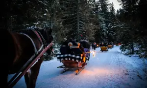 Zimowy kulig w Dolinie Chochołowskiej. Ile kosztuje taka przejażdżka? Konne sanie suną przez ośnieżony las, rozświetlone pochodniami.