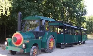 Ceny ciuchci w Dolinie Chochołowskiej: ile kosztuje przejazd?