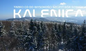 Zimowy krajobraz Gór Sowich widziany z wieży widokowej na Kalenicy. Śnieg pokrywa drzewa i doliny.