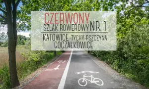 Co oznacza szlak rowerowy czerwony? Odkryj jego znaczenie i trudności
