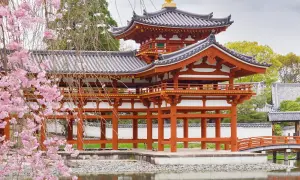 Kiedy jechać do Japonii? Najlepsze pory roku i atrakcje