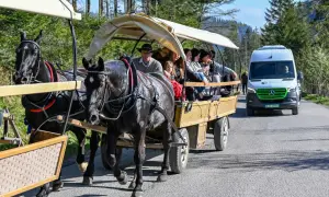 Czarne konie ciągną bryczkę z turystami. Zastanawiasz się, ile kosztuje bryczka na Morskie Oko?