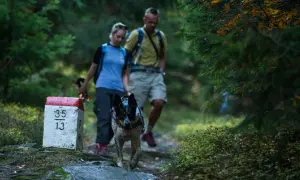 Planowanie wycieczki w Sudety z psem: wszystko co musisz wiedzieć