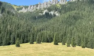Siwa Polana i dolina Chochołowska: najłatwiejszy dojazd w Tatry