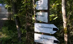 Jak przejść z Doliny Małej Łąki do Doliny Kościeliskiej - trasa, czas i porady