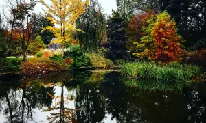 Wojsławice Arboretum: Magiczny czas zwiedzania i najpiękniejsze rośliny sezonu