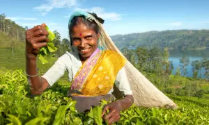 Wyspa na której leży Sri Lanka - Cejlon i jego tajemnice