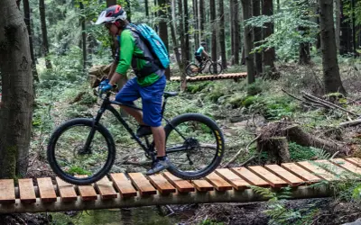 Różnica między trasą turystyczną a trasą rowerową singletrack glacensis: rowerzysta pokonuje drewniany mostek nad strumieniem w lesie.