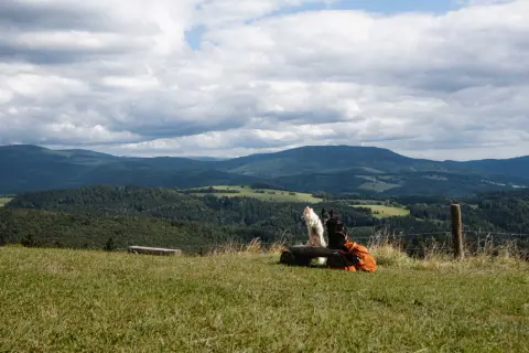Dwa psy na ławce w górach, obok pomarańczowy plecak. Idealne miejsce na chwilę odpoczynku podczas wędrówki po Górach Opawskich. Jak spakować się na wędrówkę po górach opawskich lista kontrolna.