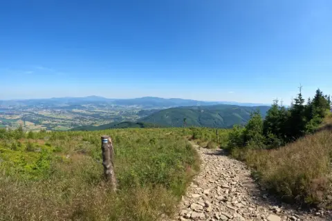 Kamienista ścieżka w Górach Świętokrzyskich. Idealne miejsce na spokojne wędrówki, gdy szukasz tras najlepszych dla seniorów.