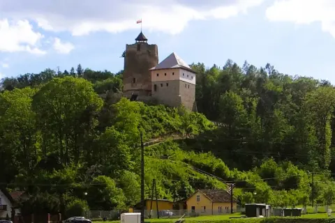 Zamek w Czchowie góruje nad zielonym wzgórzem, otoczony drzewami. U podnóża widać domy i drogę.