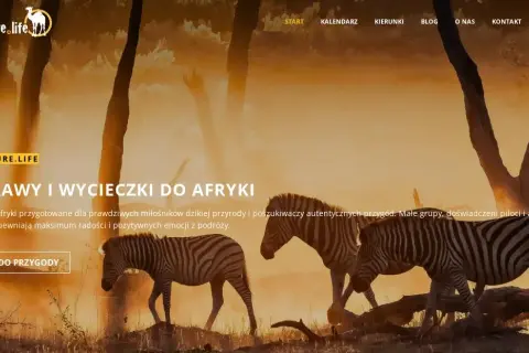 Gdzie najlepiej zamieszkać w Afryce? Odkryj najlepsze lokalizacje życia