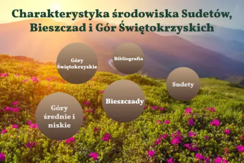 Charakterystyka środowiska polskich gór - porównanie Sudetów, Bieszczad i G. Św.