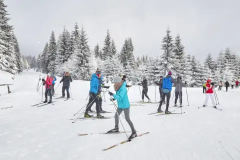 Szukasz najlepszych tras narciarstwa biegowego w Jakuszycach dla dzieci? Na zdjęciu grupa narciarzy w zimowym krajobrazie.