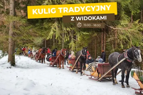 Wszystko o kuligach w Dolinie Kościeliskiej: atrakcje, ceny i rezerwacja 2024