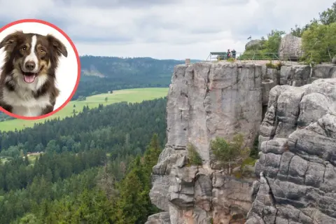 Uśmiechnięty piesek w okręgu, na tle skalistych Gór Stołowych. Czy można wprowadzić psa na szlaki w parku narodowym?