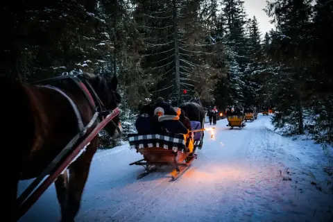 Zimowy kulig w Dolinie Chochołowskiej. Ile kosztuje taka przejażdżka? Konne sanie suną przez ośnieżony las, rozświetlone pochodniami.