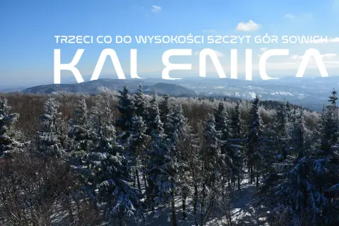 Zimowy krajobraz Gór Sowich widziany z wieży widokowej na Kalenicy. Śnieg pokrywa drzewa i doliny.