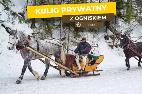 Przejazd konny w Dolinie Chochołowskiej: trasa, ceny, godziny otwarcia