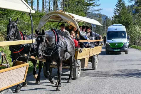 Czarne konie ciągną bryczkę z turystami. Zastanawiasz się, ile kosztuje bryczka na Morskie Oko?