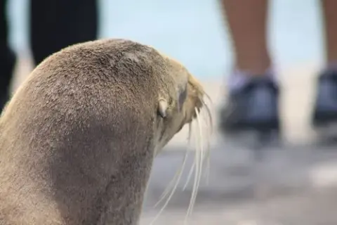 Do kogo należą wyspy Galapagos? Odkryj ich fascynującą historię