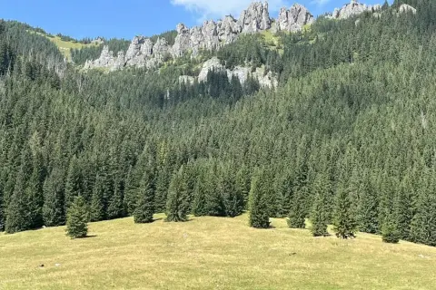 Siwa Polana i dolina Chochołowska: najłatwiejszy dojazd w Tatry