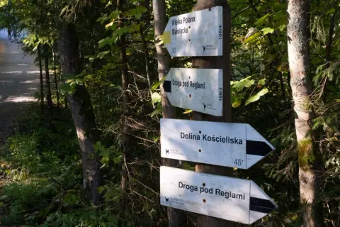 Jak przejść z Doliny Małej Łąki do Doliny Kościeliskiej - trasa, czas i porady