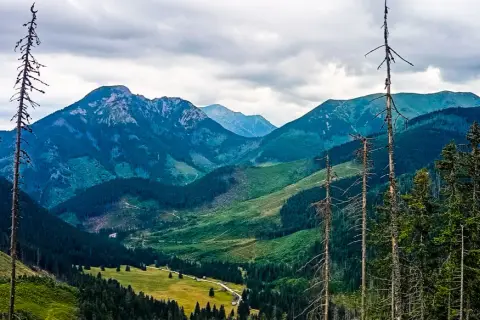 Czas przejścia Doliny Chochołowskiej: wszystko co musisz wiedzieć [2024]