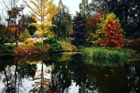 Wojsławice Arboretum: Magiczny czas zwiedzania i najpiękniejsze rośliny sezonu