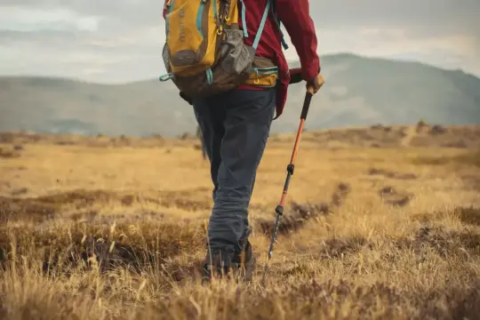 Wędrowiec z plecakiem idzie przez suchą trawę, używając kijka trekkingowego. Unikaj przyczyn pękania kijków trekkingowych z włókna węglowego.