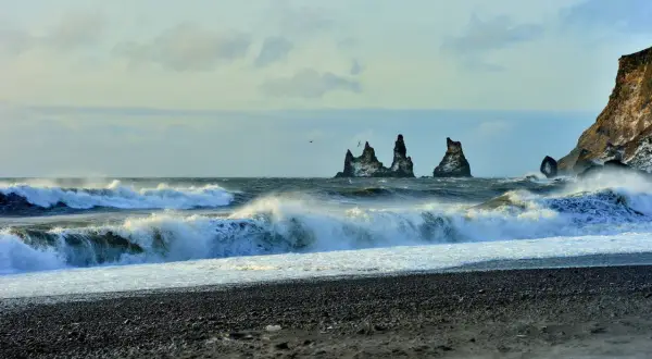 Surowe wybrzeże Islandii, fale rozbijające się o czarny piasek. Wiatr i deszcz mogą wywołać objawy hipotermii na trasach islandzkich.