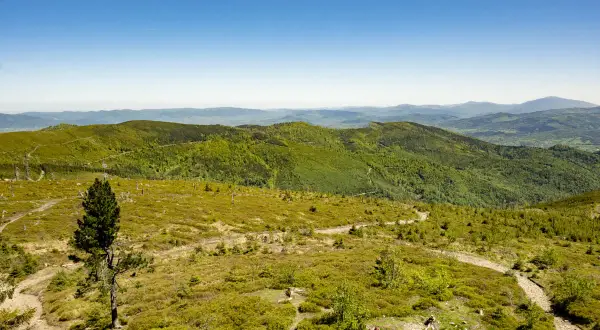 Widok z Baraniej Góry na Beskid Śląski. Zielone wzgórza i lasy, szlak turystyczny, dwie osoby wędrujące.