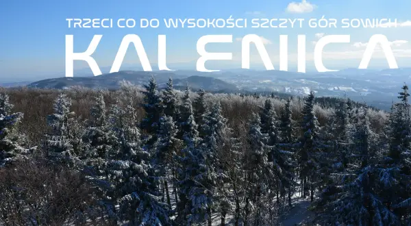 Zimowy krajobraz Gór Sowich widziany z wieży widokowej na Kalenicy. Śnieg pokrywa drzewa i doliny.