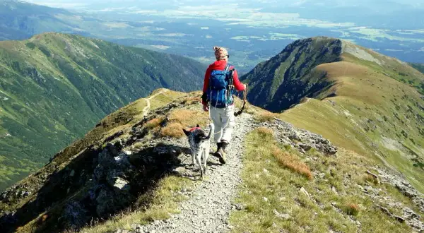 Łatwe szlaki na Słowacji: 5 malowniczych tras dla każdego
