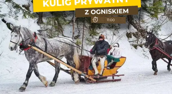 Przejazd konny w Dolinie Chochołowskiej: trasa, ceny, godziny otwarcia
