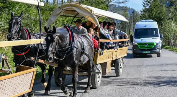 Czarne konie ciągną bryczkę z turystami. Zastanawiasz się, ile kosztuje bryczka na Morskie Oko?