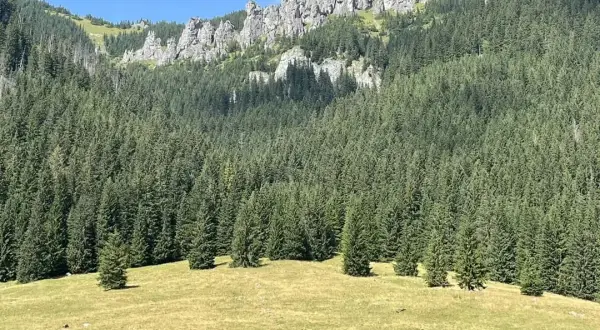 Siwa Polana i dolina Chochołowska: najłatwiejszy dojazd w Tatry