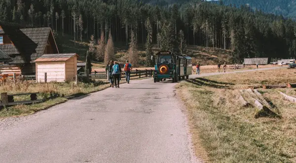 Aktualne ceny busów z Zakopanego do Doliny Kościeliskiej: Pełny cennik