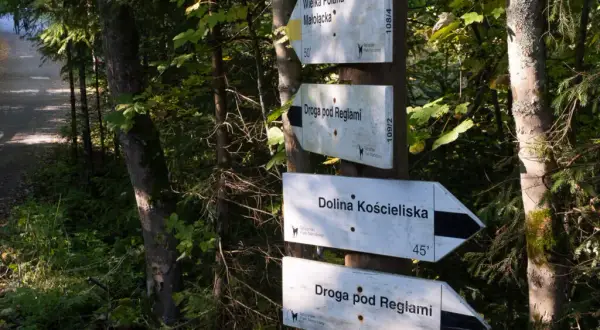 Jak przejść z Doliny Małej Łąki do Doliny Kościeliskiej - trasa, czas i porady