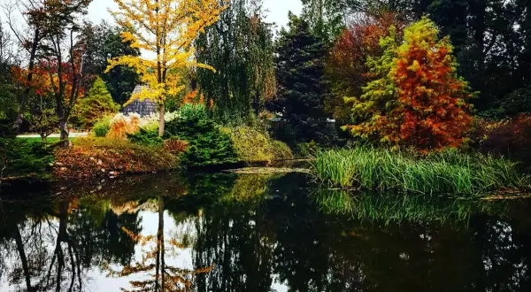Wojsławice Arboretum: Magiczny czas zwiedzania i najpiękniejsze rośliny sezonu