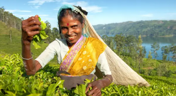 Wyspa na której leży Sri Lanka - Cejlon i jego tajemnice