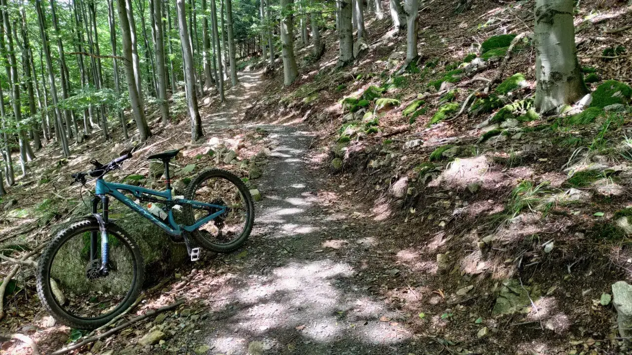 Rower górski na kamienistej ścieżce w lesie. To singletrack glacensis, idealny dla rowerzystów, w przeciwieństwie do szerokich tras turystycznych.