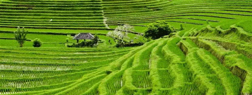 Zdjęcie Gdzie leży wyspa Bali? Odkryj jej niezwykłe położenie w Indonezji